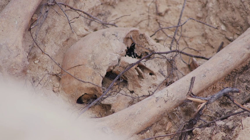 Exhumacions i Dignitat